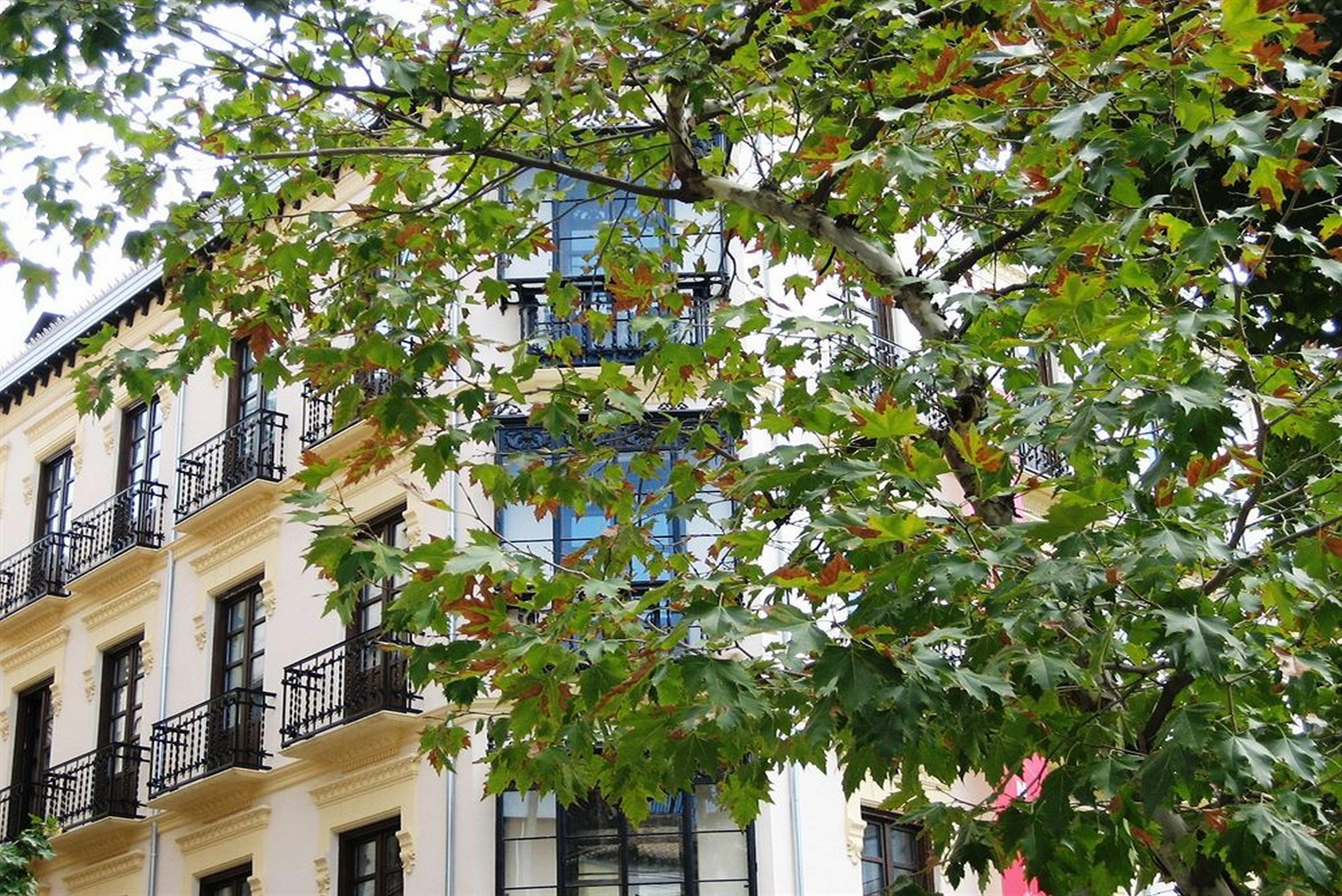 La Casa De La Trinidad Hotel Granada Ngoại thất bức ảnh
